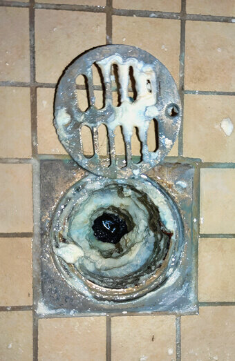 https://blockeddrainsparkwood.com.au/uploads/2025/07/blocked-shower-drains-86331.jpg