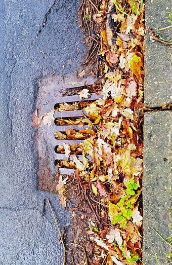 https://blockeddrainsparkwood.com.au/uploads/2025/07/stormwater-drains-48051.jpg