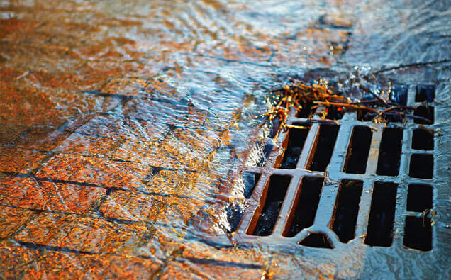 https://blockeddrainsparkwood.com.au/uploads/2025/07/stormwater-drains-91028.jpg